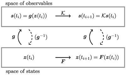 Data-driven reduced order modeling for mechanical oscillators using Koopman approaches